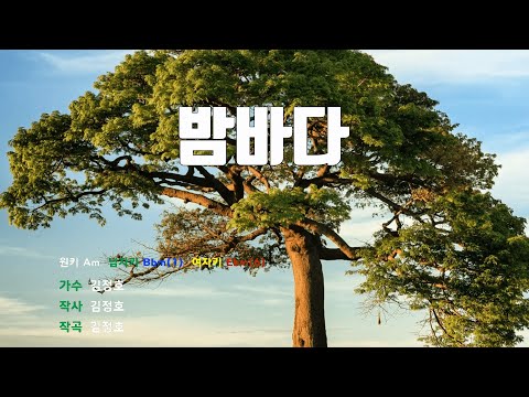 [은성 반주기] 밤바다 - 김정호