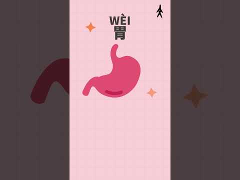 Learn 5 Common Human Organs In Chinese In 50 Seconds 用50秒学会5个常用人体器官中文名称 