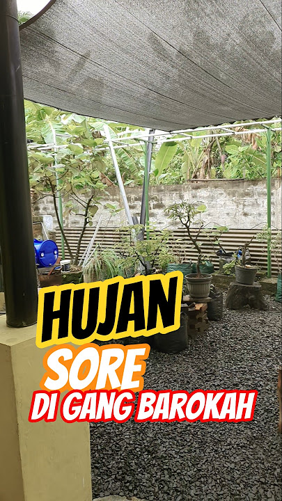 sore hari sudah hujan | gerimis mengundang