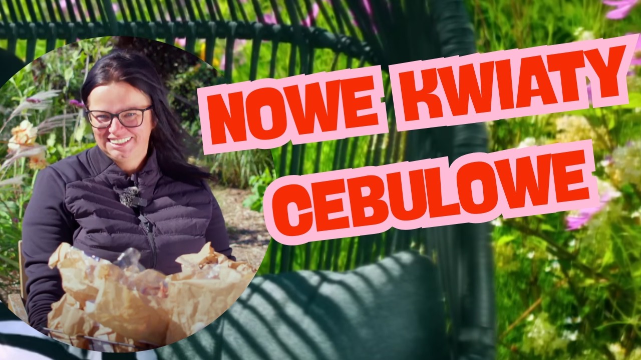 NOWE KWIATY CEBULOWE | Kasia in
