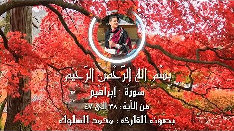سورة ابراهيم ( من الاية 38 الي 47 ) للقارئ محمد السلوك || Mohamed ALsuluk ||  تلاوة خاشعة تريح القلب