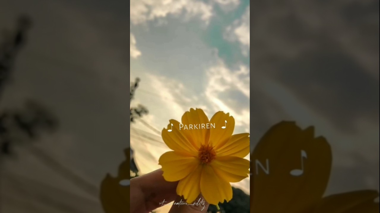 ✨💙✨🤍videotrendy song 