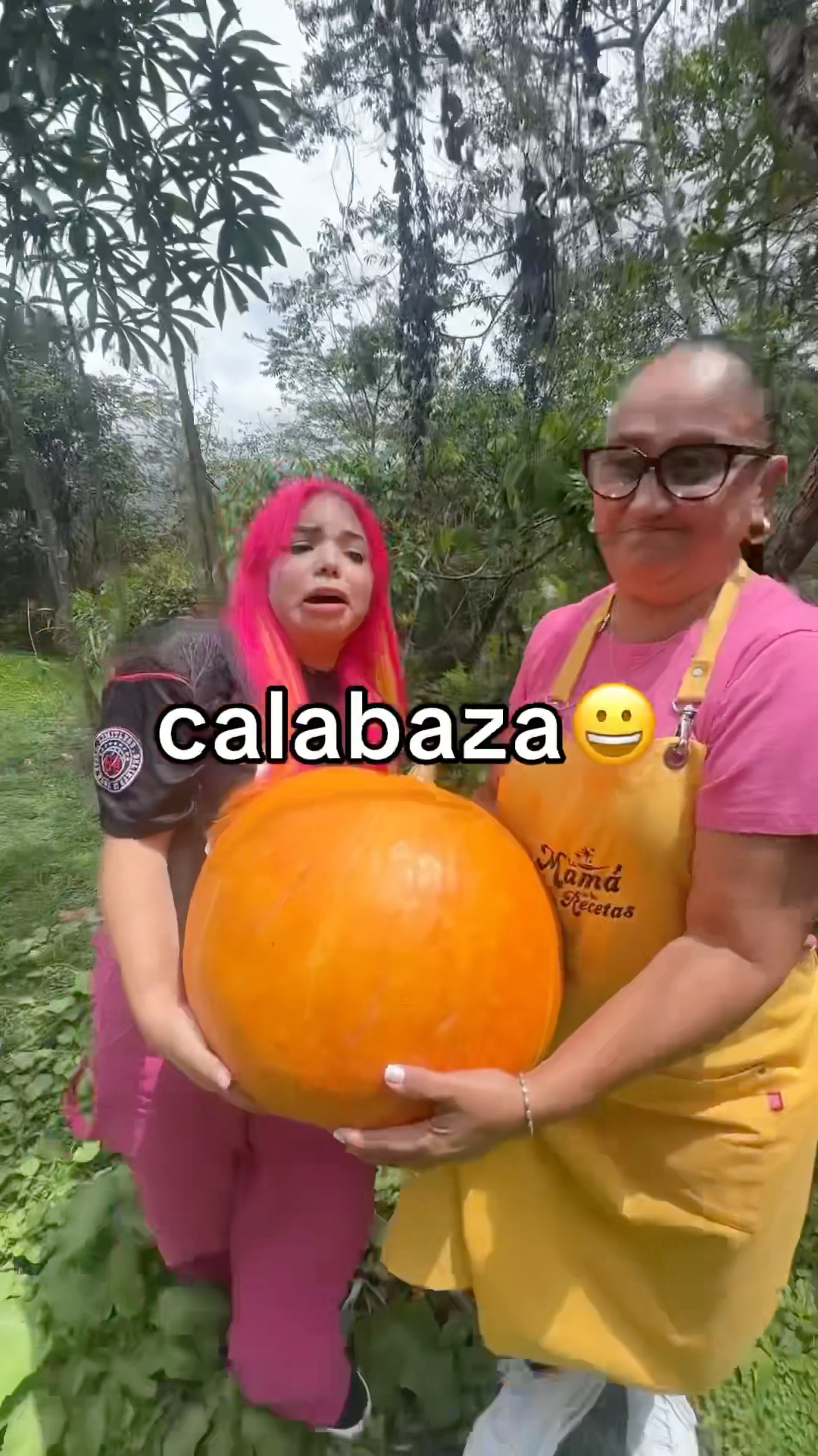 CALABAZA GIGANTE