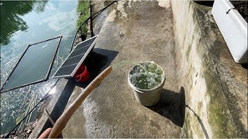 Combo Bơm nước năng lượng Mặt Trời 120w giá 1tr150k. Chạy không cần điện lưới