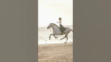 Wow Wonderful Speed Horse Riding Horseriding 