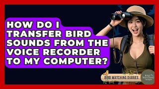 How Do I Transfer Bird Sounds From The Voice Recorder To My Computer? - Bird Watching Diaries