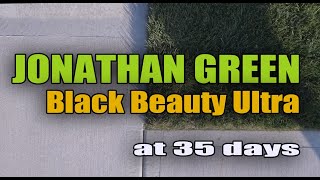 BLACK BEAUTY ULTRA 35 DAYS
I am blown away by the results from my overseeding with Jonathan Green Black Beauty Ultra.
Check it out and see what you think.
Would love to read your comments.
Thanks for watching.
THE LAWN CARE NUT: www.youtube.com/thelawncarenut BLACK BEAUTY ULTRA 35 DAYS