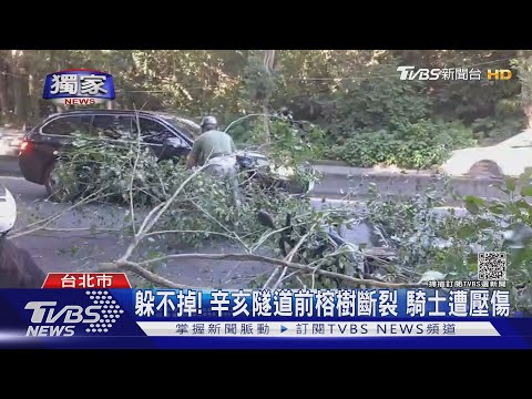 #獨家 躲不掉! 社區榕樹突斷裂 辛亥隧道前2騎士遭壓傷 女受困|TVBS新聞