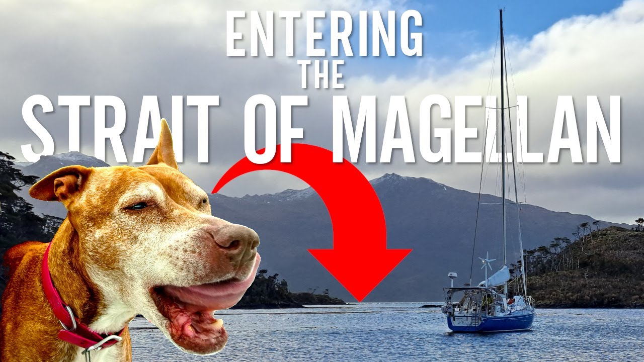 Roxy The SAILING DOG REACTS To WHALES In The Magellan Strait [Ep. 124]