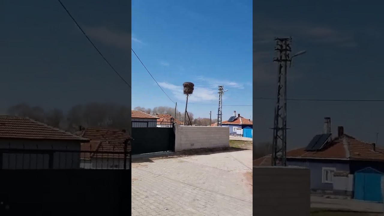 12 Nisan 2024 Yozgat Sarıkaya Gülpınar köyü(Kötüköy)