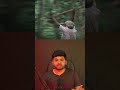 Churuli 😳 | Jungle Me Kya Ho Raha Hai? Dark Mystery Story Hindi