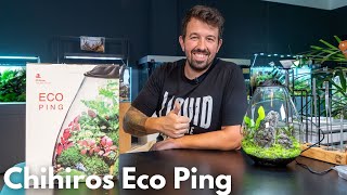Chihiros Eco Ping - Wabikusa einrichten