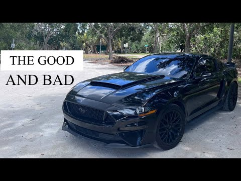 2 year ownership