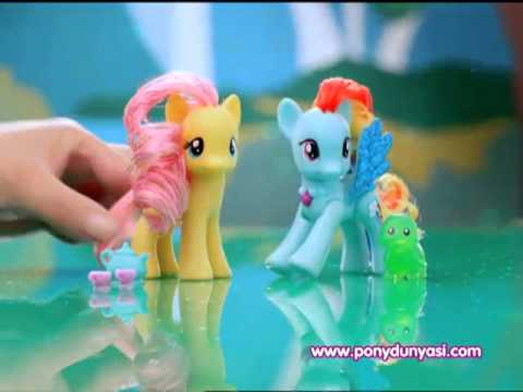 Video: Pony divarı yük daşıyıcı ola bilərmi?