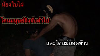 ช่วยเหลือน้องใบไผ่ที่โดนมนุษลิงเล่นงาน