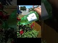 SMB Bottle has been added to Virtual Collection