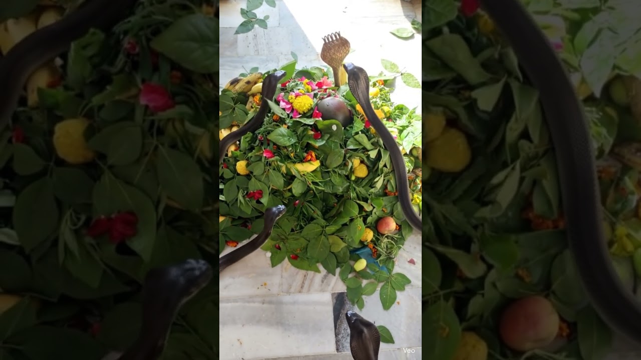 🙏💪🕉️shiv mandir bhutta Ludhiana 💪🕉️💪