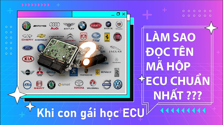 1 kg ecu 10 có bao nhiêu con