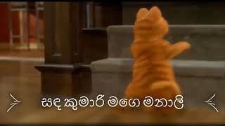 සඳ කමර මග මනල Funny Dance Garfield Dance Sinhala Cartoon