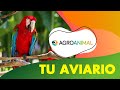 Cómo tener un aviario en casa | Agroanimal