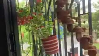 Creative bedroom garden | Gardening design & Ideas