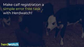 Product Spotlight - Calf Registration with Herdwatch