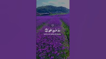 Abdurhman musad surat alankabut سورة العنكبوت بصوت الشيخ عبدالرحمن مسعد #اكسبلور #راحة_نفسية #المصحف