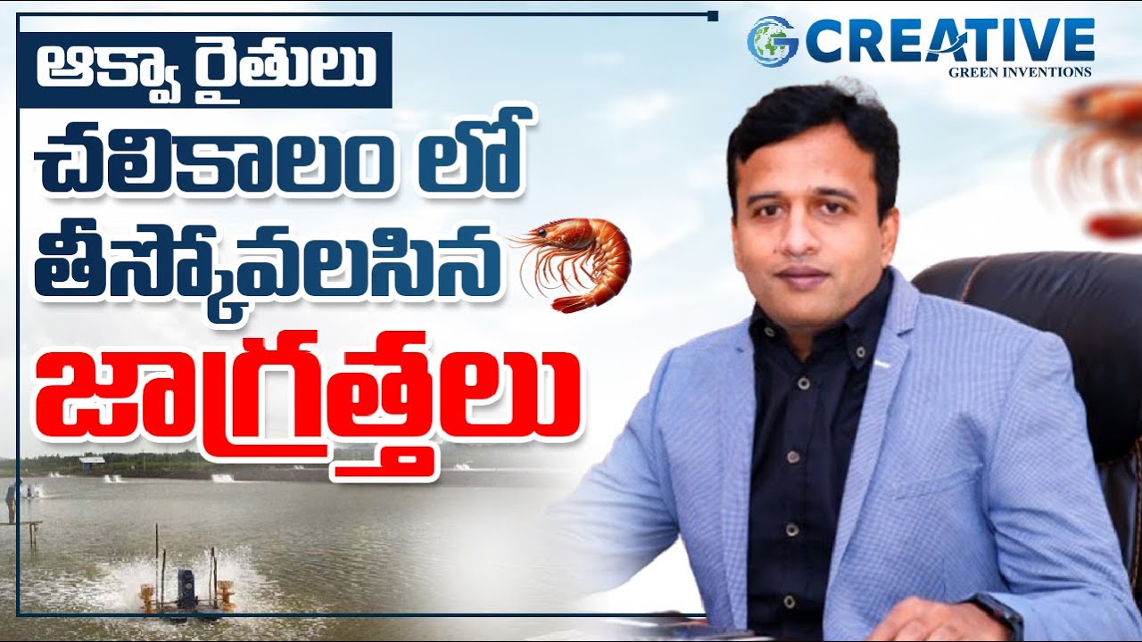 ఆక్వా రైతులు చలికాలంలో తీసుకోవాల్సిన జాగ్రత్తలు | Creativegreeninventions | Telugu