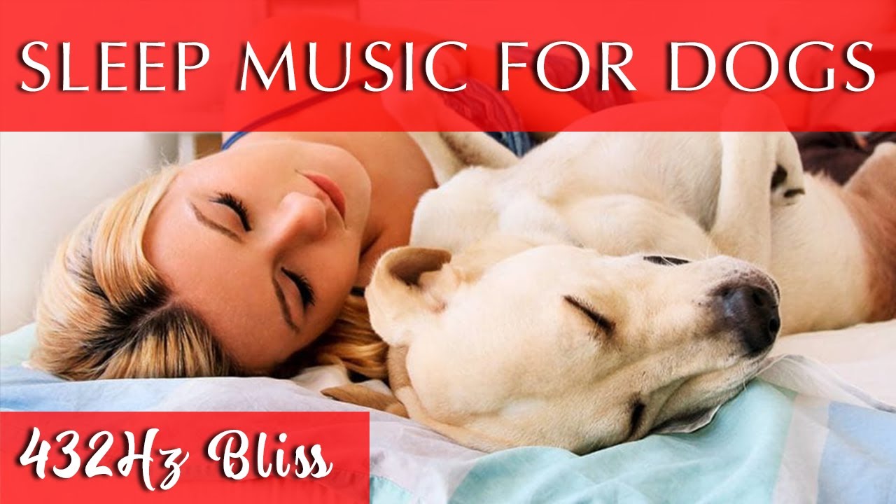 Relaxing Music for Dogs and Humans to Sleep To 432Hz Music YouTube