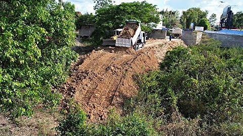 Wonderful new update action operator skill pushing soil&clearing the tree with dump truck unloading