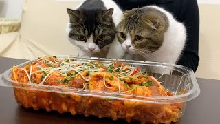 特盛の豚肉に驚く親子猫w