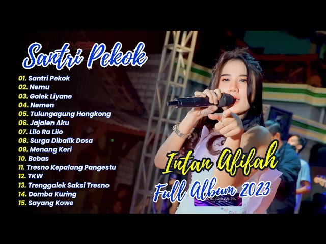 Santri Pekok - Intan Afiffah - viral TIK TOK MAHESA MUSIC DANGDUT KOPLO | FULL ALBUM 2023 class=