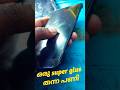 super glue തന്ന പണി 🤧 #mobilerepairing #shorts #shortsfeed