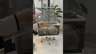 Box penyimpanan
