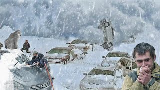 Blizzard in Vancouver and Montreal! Canada is closed! Ice traps on all roads!Event footage