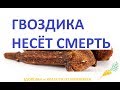 ГВОЗДИКА НЕСЁТ СМЕРТЬ паразитам