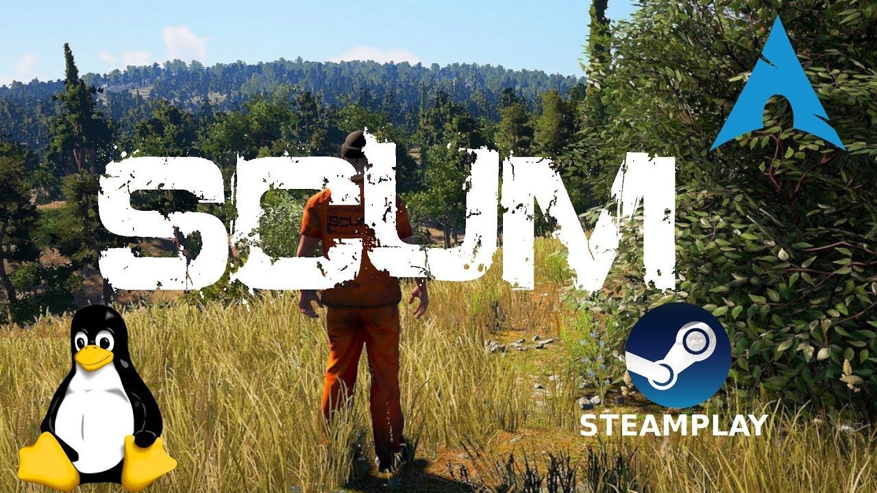 steam game scum