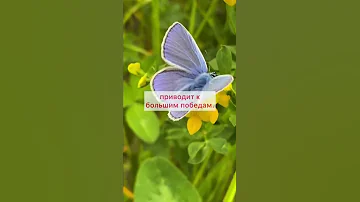Почему надо начинать сейчас. #психология #konkinahappy #мотивация