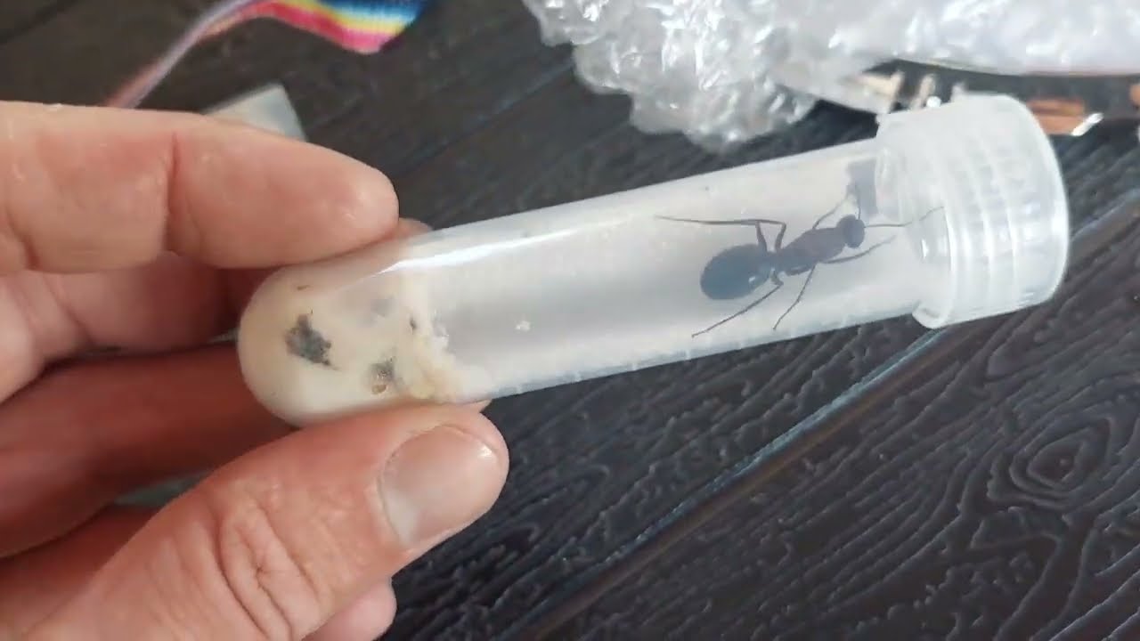 Parcel from China Посылка из Китая. 14.06.2022