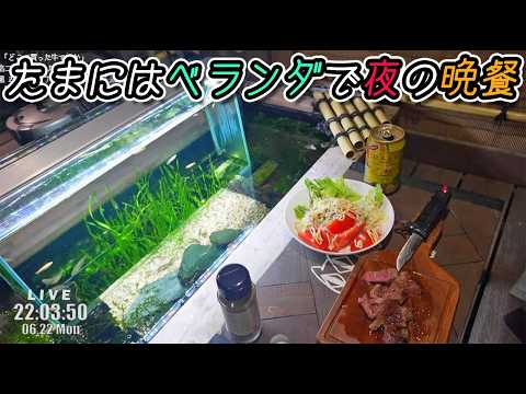 うたまるBOX - YouTube