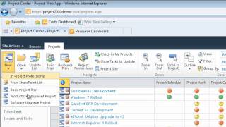 Resource Management in Microsoft Project Server 2010