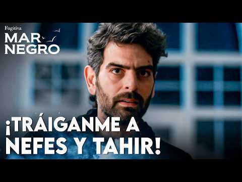 Vedat vuelve a echar leña al fuego - Mar Negro | Escenas Legendarias @fugitivatv​