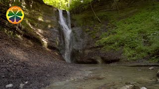 Водопад Релакс Под Природный Шум Водопада Чистый Звук
