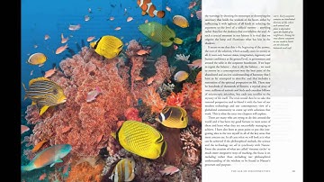 Harmony - audio clip