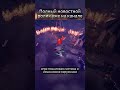 Новости РПГ Zoria Age of the Shattering #rpg #roleplayinggames #gamingnews