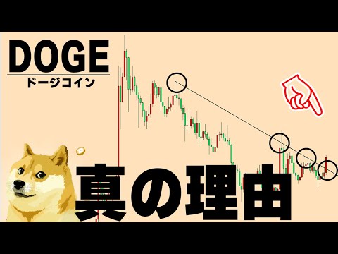 ドージコインがこれから期待できる真の理由【仮想通貨ドージコイン/DOGE】