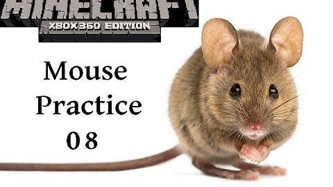 Mouse Practice 08