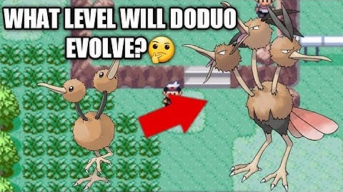 How to Evolve Doduo to Dodrio on Pokemon Ruby/Sapphire/Emerald