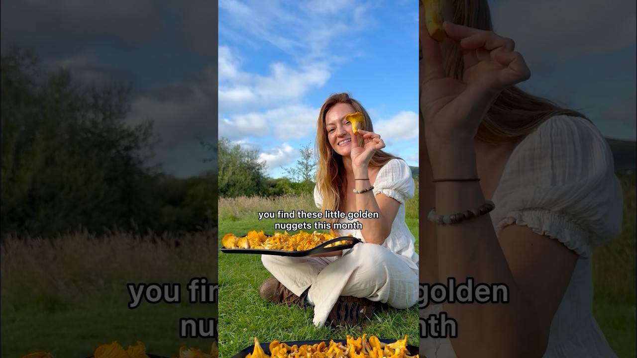 How to find Chanterelle mushrooms! 💛 