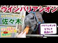 【ウインバリアシオン】野里の競馬人インタビュー～推しのパパに会ってきちゃいました！「種付け神」と呼ばれる17歳の今～青森県SP編 第２弾